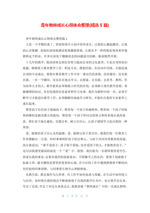 青年教师成长心得体会整理(精选5篇)