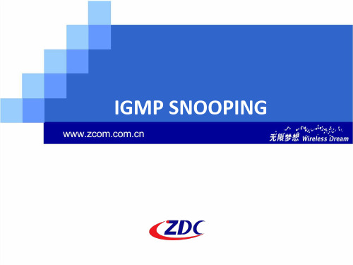 IGMP SNOOPING