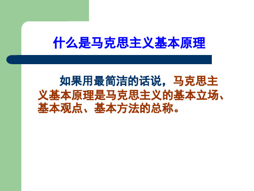 马克思复习题ppt课件共55页