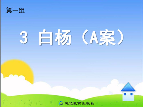 3 白杨(A案)