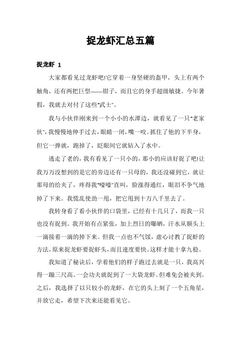 捉龙虾汇总五篇