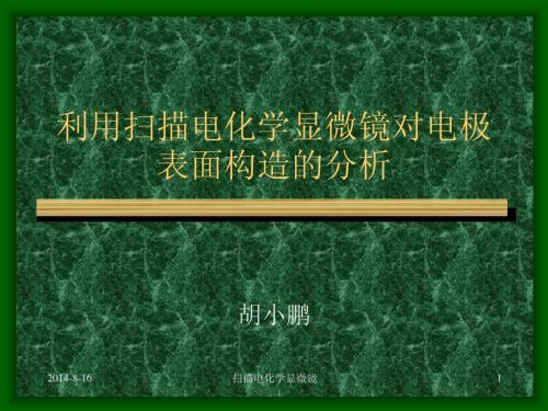 利用扫描电化学显微镜对电极表面构造的分析