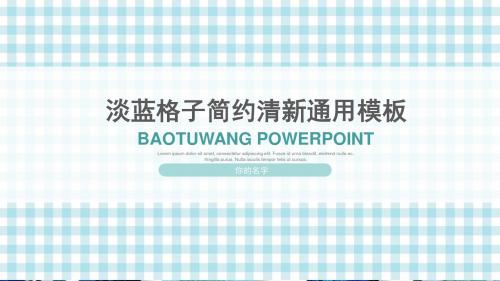 淡蓝格子简约女性个人求职简历清新通用ppt模板