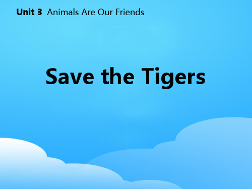 《Save the Tigers》Animals Are Our Friends PPT课件下载【优秀课件】