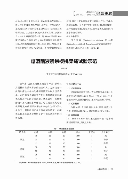 糖酒醋液诱杀樱桃果蝇试验示范