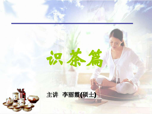 中国茶文化简介-识茶篇