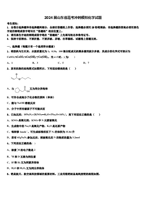 2024届山东省高考冲刺模拟化学试题含解析