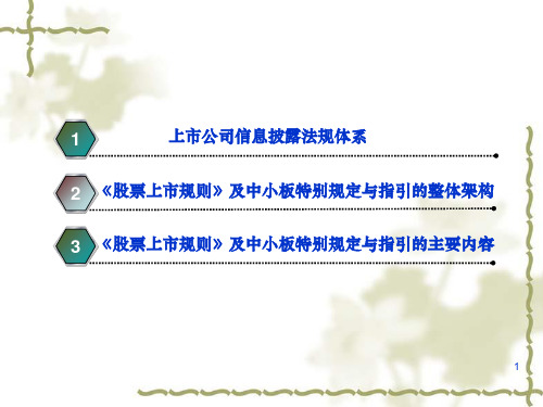 股票上市规则及中小板特别规定与指引解读1