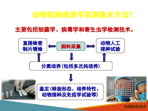动物疫病控制—实验室检测