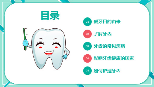 绿色卡通风全国爱牙日节日介绍讲课PPT课件