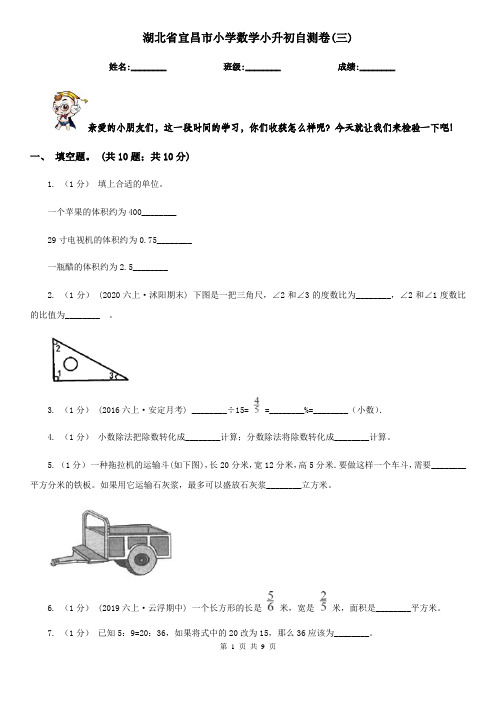 湖北省宜昌市小学数学小升初自测卷(三)    