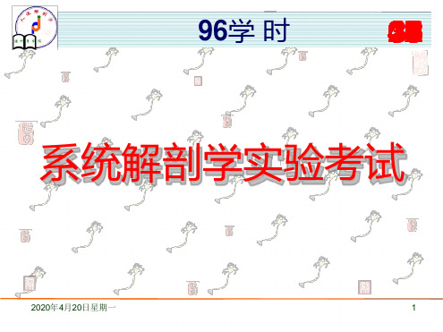 系统解剖学实验考试题 实验答案