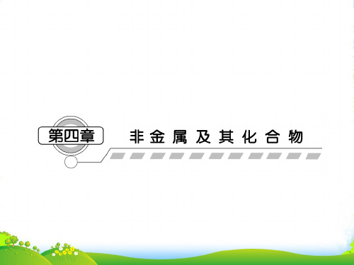 高考化学第一轮考向分析复习课件9 无机非金属材料的主角—硅、碳