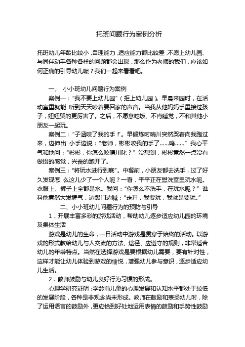 托班问题行为案例分析 