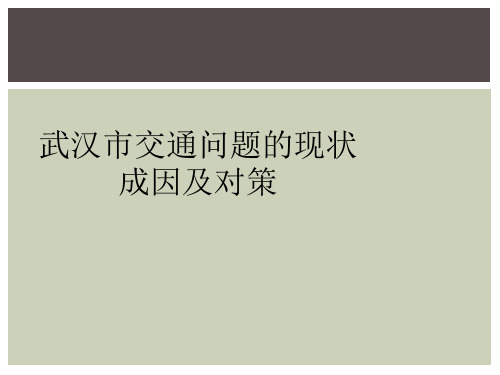 武汉市交通问题的现状成因及对策