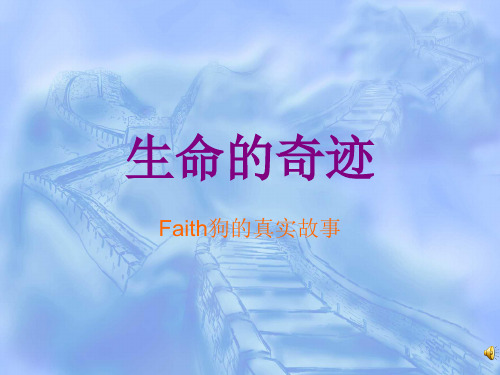 生命的奇迹Faith狗的真实故事