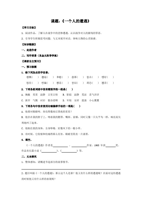 河南省偃师市实验高级中学高中语文必修二一个人遭遇导学案