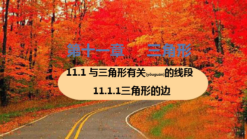 八年级数学上册第十一章三角形11.1与三角形有关的线段11.1.1三角形的边教学