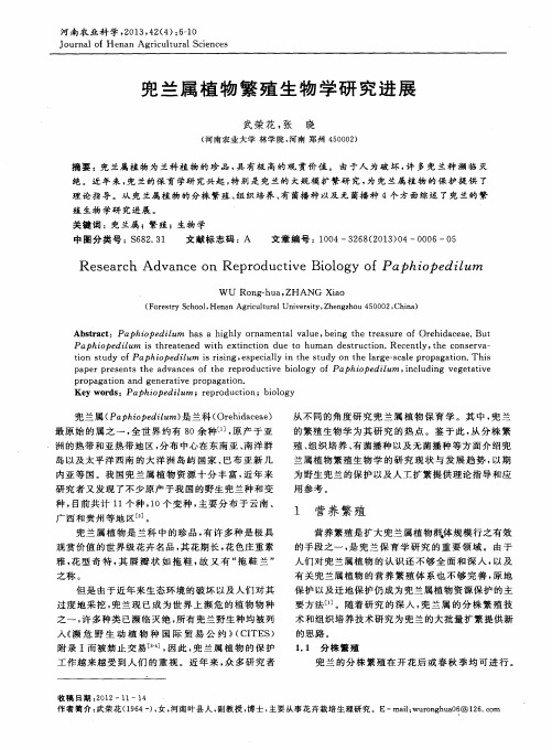 兜兰属植物繁殖生物学研究进展