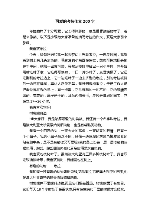 可爱的考拉作文200字