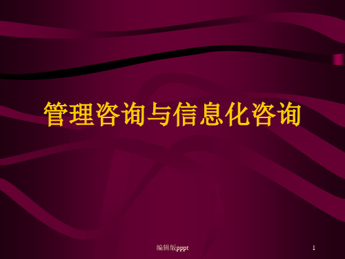 管理咨询与信息化咨询ppt课件