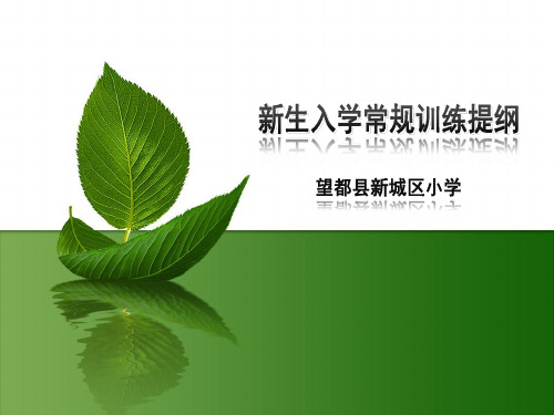 入学常规教育提纲