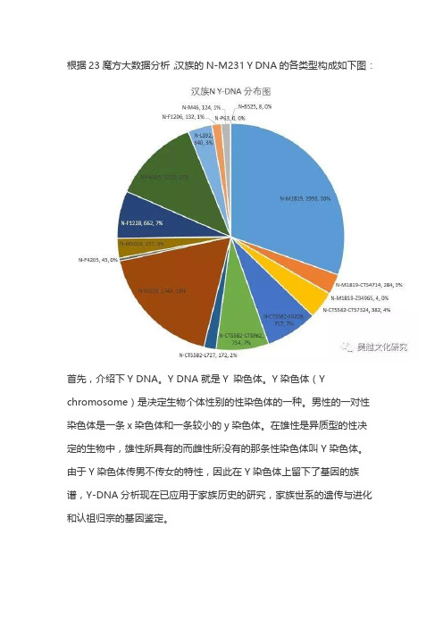 中国各民族N Y-DNA构成分析