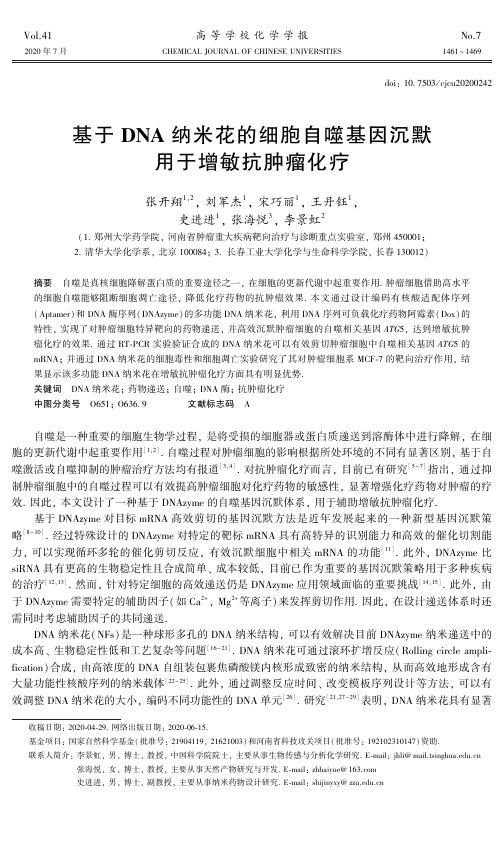 基于DNA纳米花的细胞自噬基因沉默用于增敏抗肿瘤化疗