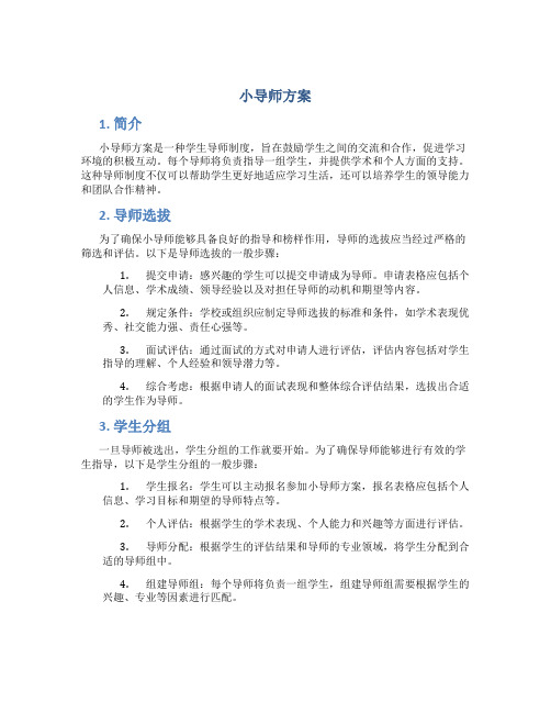 小导师方案