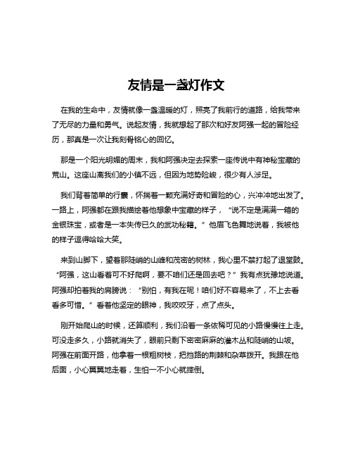 友情是一盏灯作文