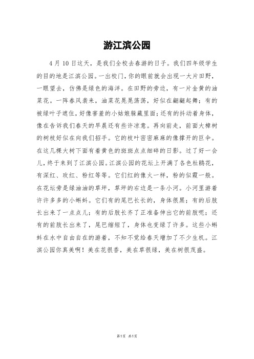 游江滨公园_四年级作文