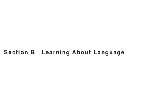 【课件】Unit 3 Learning About Language 人教(2019选择性必修第四册