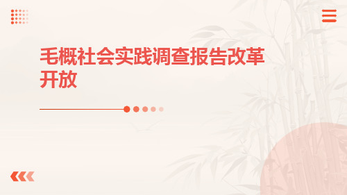 毛概社会实践调查报告改革开放