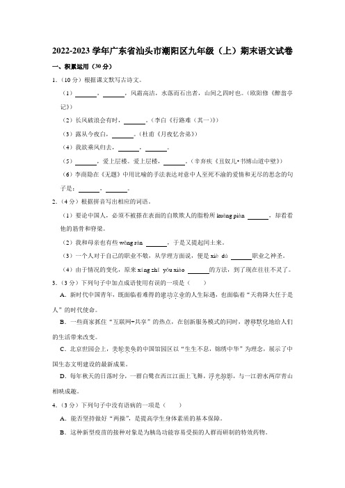 2022-2023学年广东省汕头市潮阳区九年级(上)期末语文试卷(含解析)