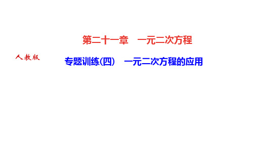 人教版九年级数学上册专题训练(四) 一元二次方程的应用