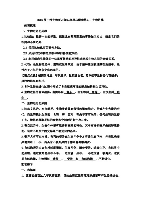 2020届中考生物复习知识梳理和配套练习:生物进化