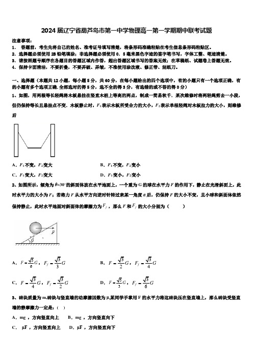 2024届辽宁省葫芦岛市第一中学物理高一第一学期期中联考试题含解析