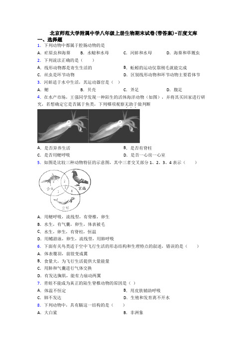 北京师范大学附属中学八年级上册生物期末试卷(带答案)-百度文库