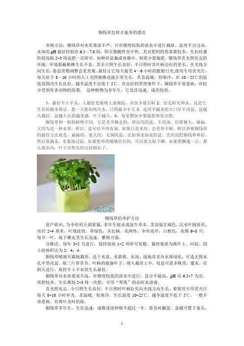 铜钱草怎样才能养的漂亮