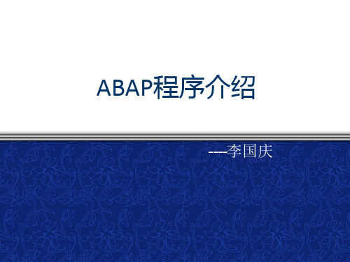 ABAP程序详细介绍解读