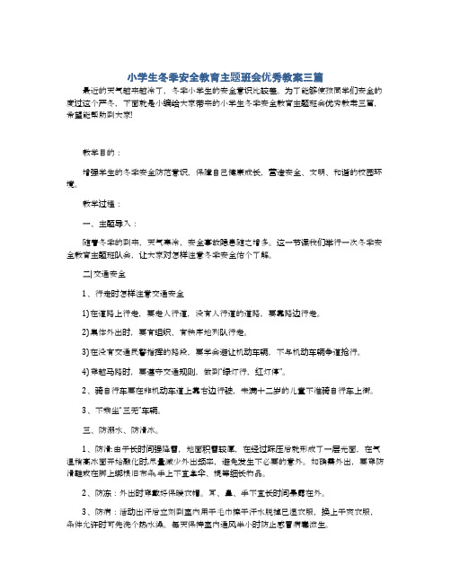 小学生冬季安全教育主题班会优秀教案三篇