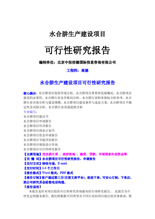 水合肼生产建设项目可行性研究报告word资料16页