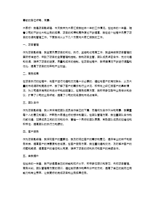 项目副经理年度述职报告范文