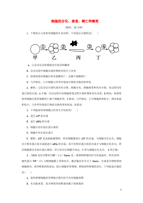 2020届高三生物一轮复习第四单元第13讲细胞的分化、衰老、凋亡和癌变作业(含解析)新人教版