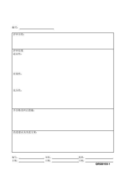 THXQR560103管理评审报告.doc