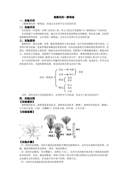 小学实验手册615观察花的一般构造