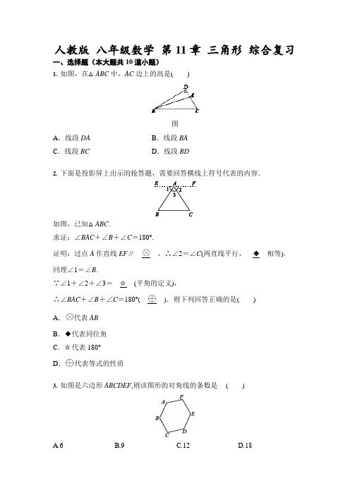 人教版 八年级上册数学 第11章 三角形 综合复习(含答案)