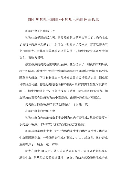 细小狗狗吐出蛔虫-小狗吐出来白色细长虫