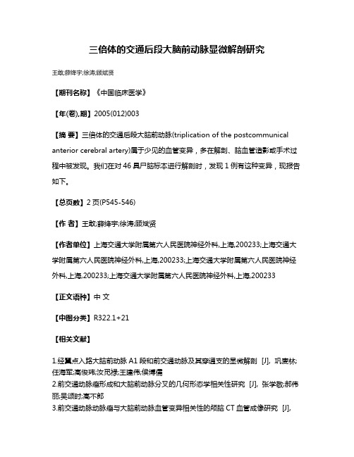 三倍体的交通后段大脑前动脉显微解剖研究