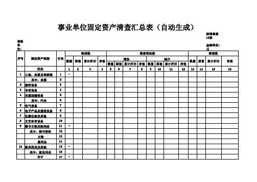 aid.事业单位固定资产清查汇总表(自动生成)